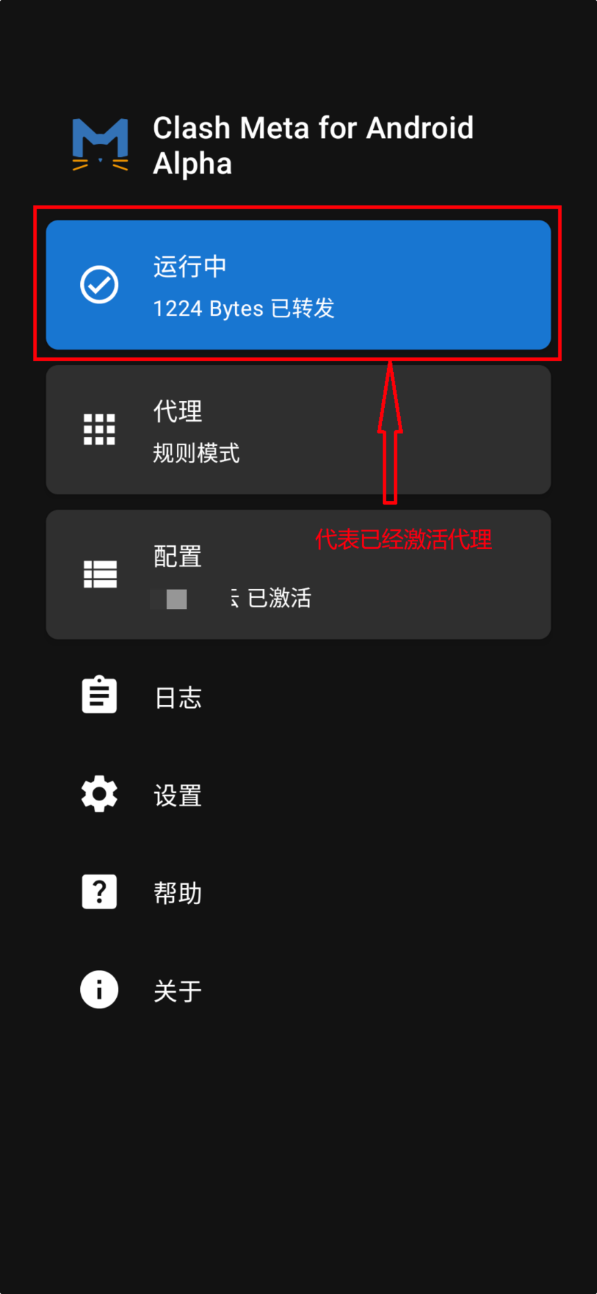 Clash Meta 运行状态